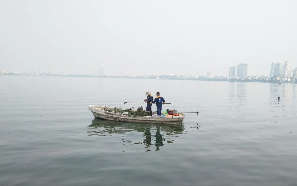 Hiện tại, các công nhân ở đây đang cố gắng thu gom rác và cá chết để cải thiện môi trường.