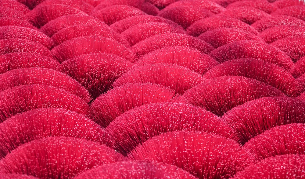 Nghề làm chân hương này không quá vất vả, nặng nhọc nhưng lại yêu cầu người thợ phải tỉ mẩn và kiên nhẫn. Nghề làm chân hương này không quá vất vả, nặng nhọc nhưng lại yêu cầu người thợ phải tỉ mẩn và kiên nhẫn.