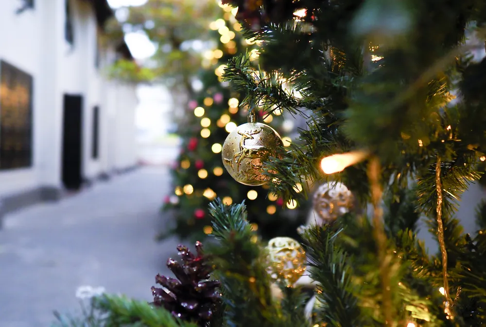 Nhiều cây thông lớn được bố trí dọc theo lối vào nhà thờ. Nhiều cây thông lớn được bố trí dọc theo lối vào nhà thờ.