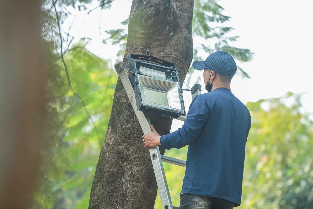 Cùng với việc triển khai tháo dỡ hàng rào sắt, việc bán vé vào Công viên Thống Nhất, dù mức giá rất tượng trưng, 2000 đồng/trẻ em, 4.000 đồng/người lớn, cũng được dừng lại. Cùng với việc triển khai tháo dỡ hàng rào sắt, việc bán vé vào Công viên Thống Nhất, dù mức giá rất tượng trưng, 2000 đồng/trẻ em, 4.000 đồng/người lớn, cũng được dừng lại.