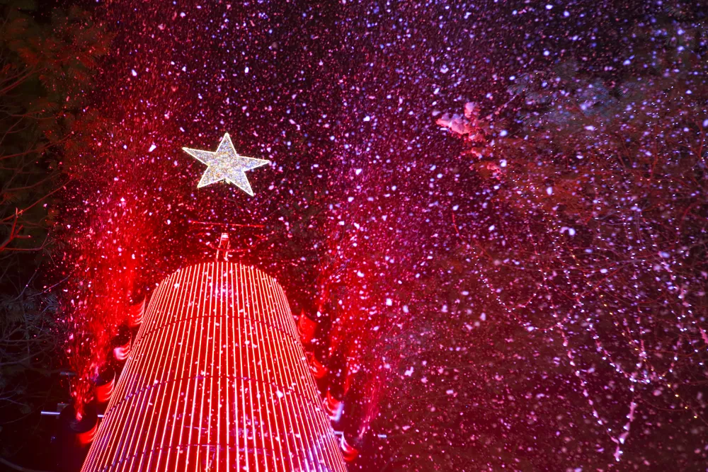 Tuy không phải là lễ truyền thống của Việt Nam nhưng nhiều năm gần đây, lễ Giáng sinh đã được tổ chức rất cầu kỳ và trang trọng.