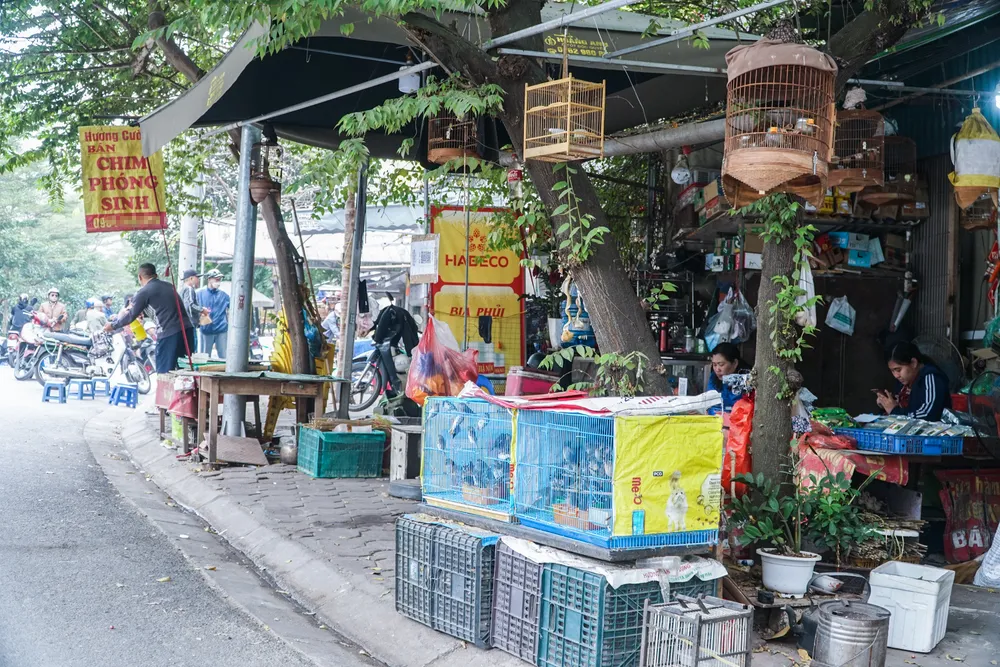 Ghi nhận dọc theo đường Hoàng Hoa Thám, TP Hà Nội vào thời điểm này, thị trường chim phóng sinh rất nhộn nhịp, chuẩn bị cho nhu cầu của người dân dịp cúng ông Công, ông Táo (23 tháng Chạp).