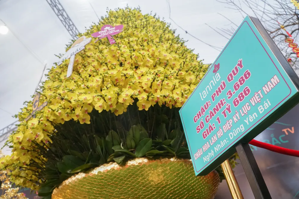 Theo như giới thiệu, chậu có chiều cao 3 mét, được làm từ gần 3.700 cành hoa lan hồ điệp với giá bán hơn 1,6 tỉ đồng.