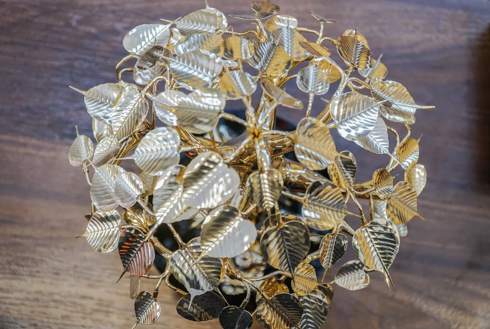 Các cây có kích thước đa dạng có giá từ vài triệu đến cả tỉ đồng. Các cây có kích thước đa dạng có giá từ vài triệu đến cả tỉ đồng.