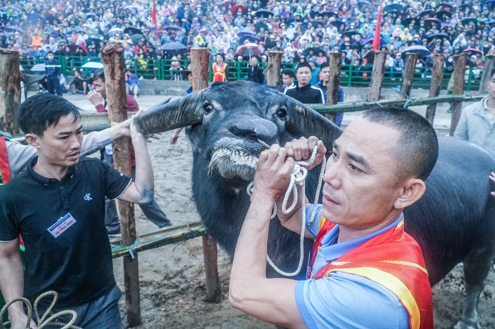 20 “ông cầu” được chia làm 12 kháp đấu vòng loại, “ông cầu” nào thắng được vào tiếp vòng trong thi đấu cho đến trận chung kết. Các “ông cầu” tham gia lễ hội năm nay có đội tuổi từ 11 - 12 tuổi.