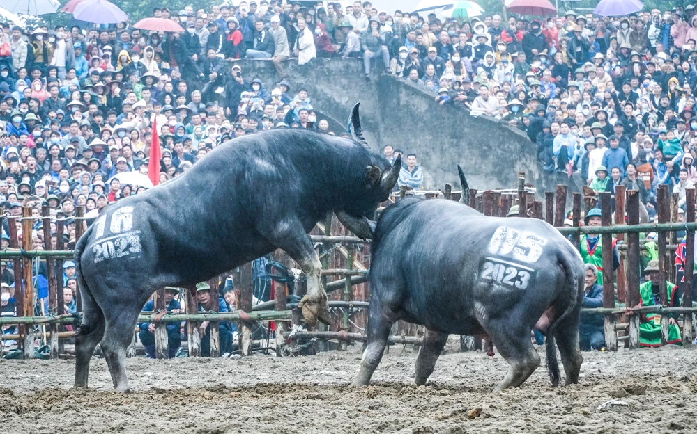 Trong buổi sáng nay, nhiều màn đấu nảy lửa giữa các ông cầu đã làm mãn nhãn những người tới tham dự.