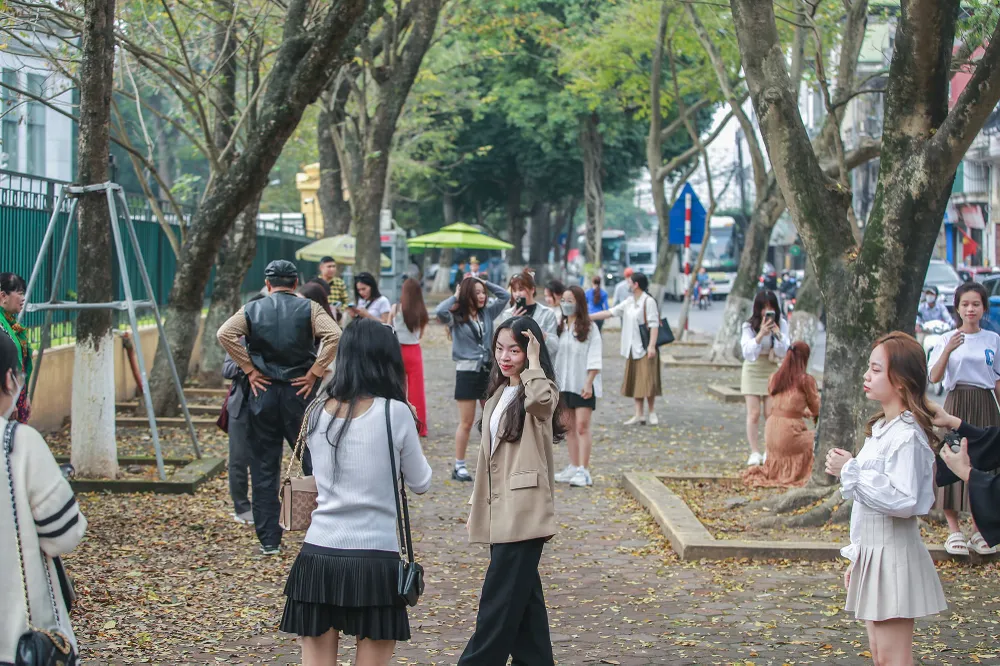 Những hàng cây trên các tuyến phố như Hoàng Hoa Thám, Phan Đình Phùng... (Hà Nội) đang trong mùa thay lá, tạo nên khung cảnh mơ mộng, lãng mạn thu hút nhiều người dân, đặc biệt là giới trẻ.