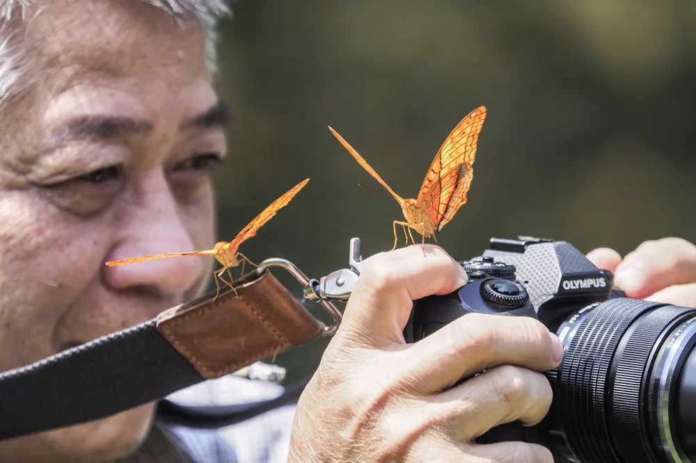 Với những ai yêu thiên nhiên, sự thanh bình thì "thiên đường bướm" ở Cúc Phương là điểm dừng chân lý tưởng khi du ngoạn Ninh Bình vào thời gian này. Với những ai yêu thiên nhiên, sự thanh bình thì "thiên đường bướm" ở Cúc Phương là điểm dừng chân lý tưởng khi du ngoạn Ninh Bình vào thời gian này.
