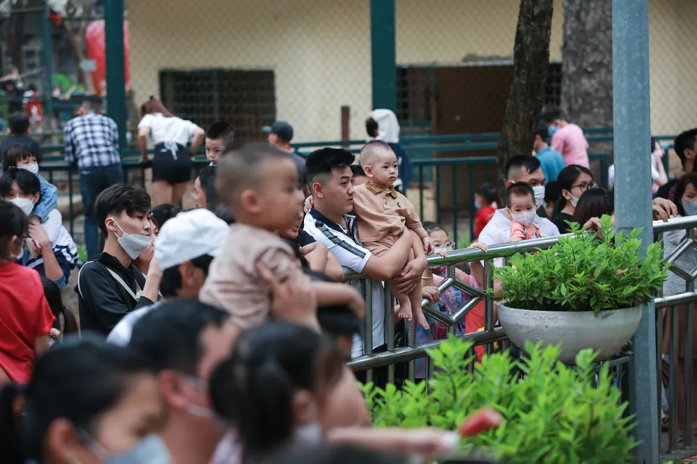 Các khu vực có muông thú như hổ, voi, hươu… đông kín người xem bởi những con vật này vốn thường ngày chỉ thấy trên ti vi.