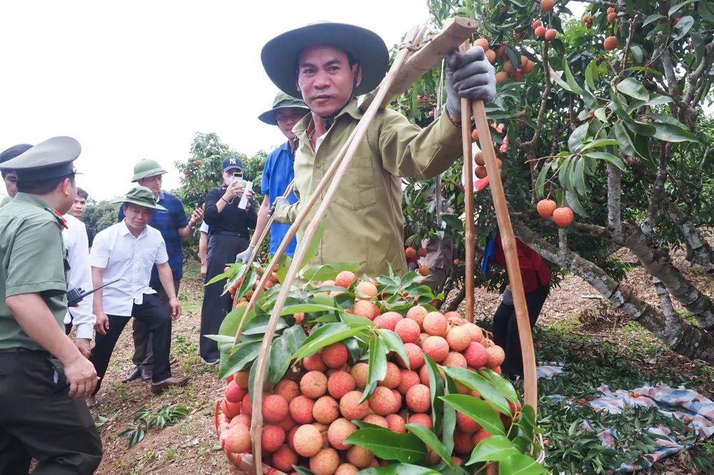 Các đội thi đến từ một số hợp tác xã trên địa bàn huyện.