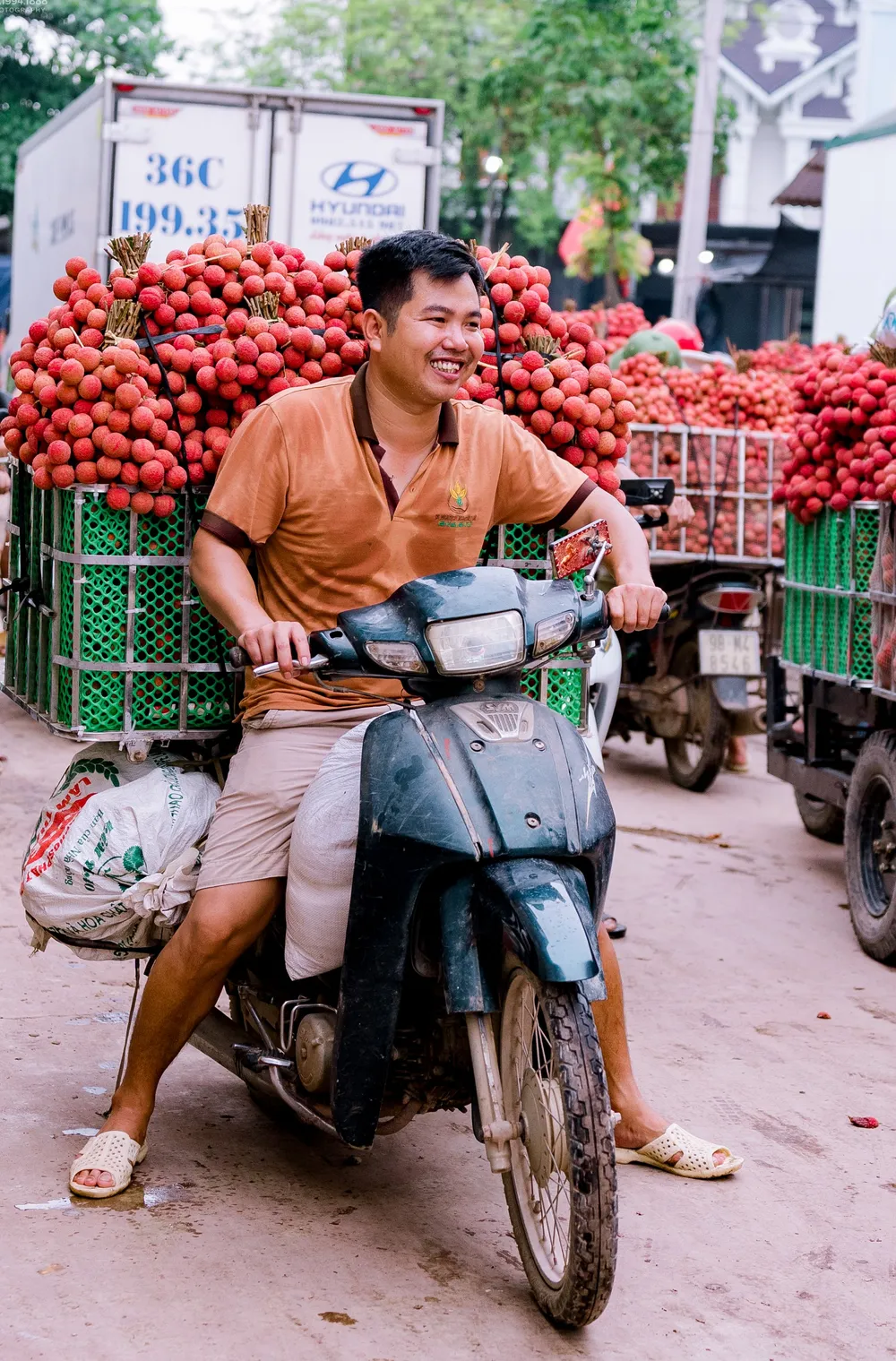 Địa phương này đã thực hiện số hóa vùng sản xuất vải tập trung, với 88 mã số vùng trồng đảm bảo đáp ứng các điều kiện xuất khẩu chính ngạch Trung Quốc, Mỹ, Australia, EU, Nhật Bản, Thái Lan.