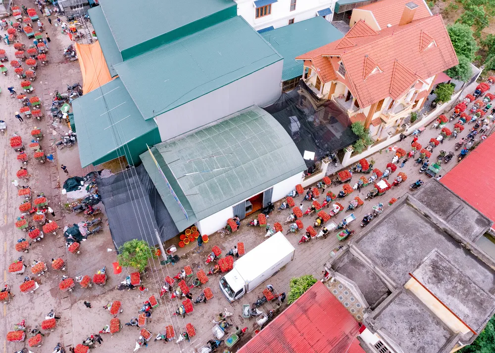 Ghi nhận tại một số tuyến đường thuộc xã Tân Quang, huyện Lục Ngạn, người dân chở trên xe những quả vải đã vô tình &quot;nhuộm đỏ&quot; trên nhiều tuyến đường.