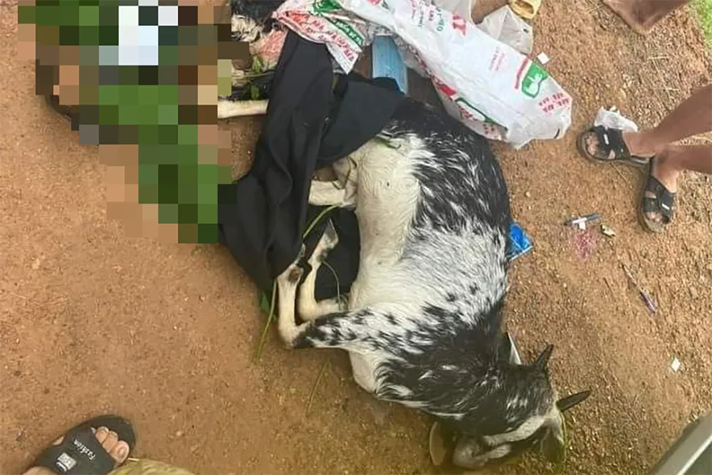 Xác minh vụ 3 công an 'bắn nhầm' dê của người dân ảnh 1