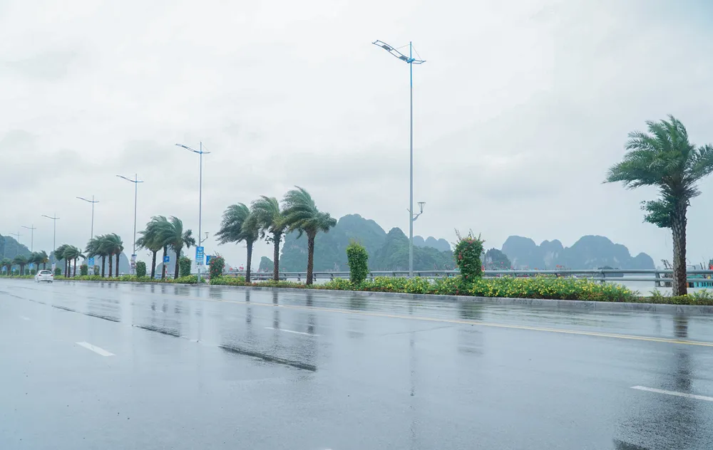 Do ảnh hưởng của bão số 1, tại vùng biển Cô Tô, Móng Cái, Hải Hà, Đầm Hà, đã có gió cấp 4-5, giật cấp 6-7. Toàn tỉnh Quảng Ninh có mưa, lượng mưa phổ biến 10-30 mm