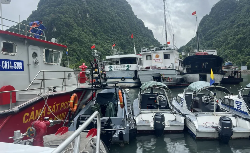 Hiện các tàu thuyền đã vào khu vực neo đậu an toàn trước khi cơn bão tới. Ảnh PHI HÙNG Hiện các tàu thuyền đã vào khu vực neo đậu an toàn trước khi cơn bão tới. Ảnh PHI HÙNG