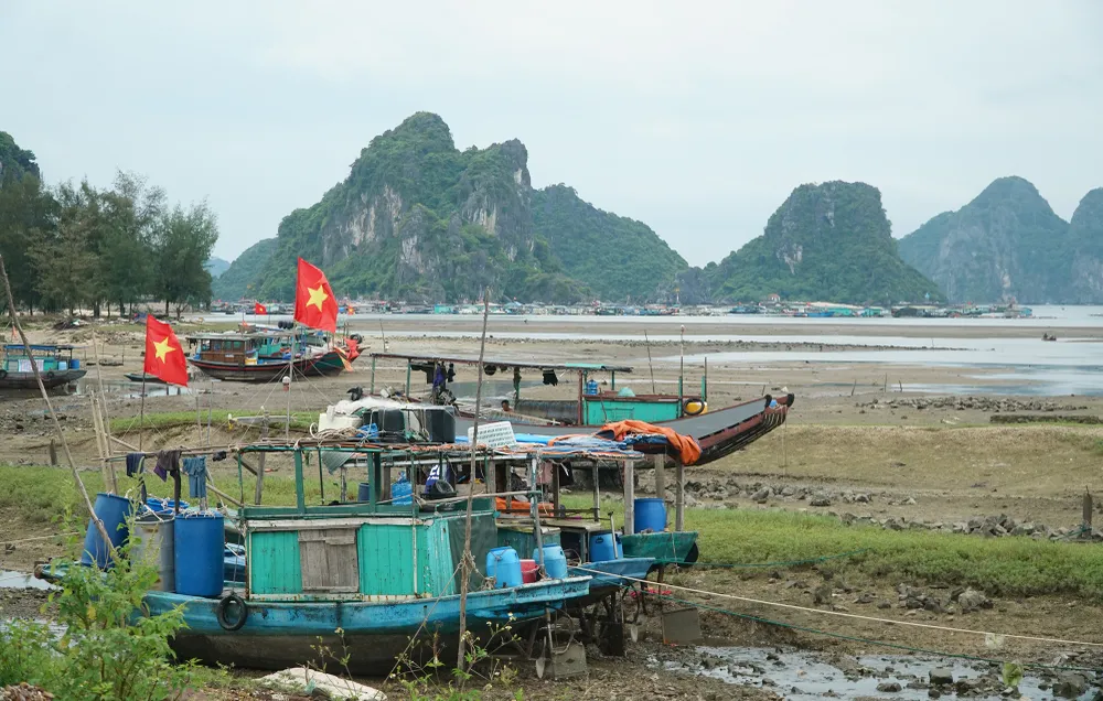 Tại cảng biển thuộc huyện Vân Đồn, tỉnh Quảng Ninh, các tàu cá vẫn neo đậu rất đông đúc.