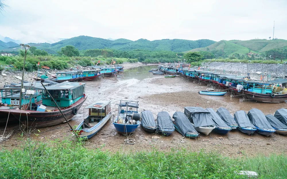 Khu vực neo đậu tàu, thuyền tại xã Tiên Lãng, huyện Tiên Yên, hàng trăm chiếc tàu, thuyền nằm bất động ở cửa sông Tiên Yên.