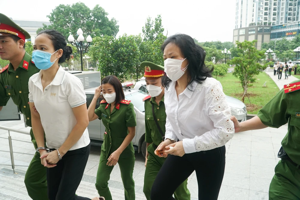 Kết quả điều tra xác định trong quá trình trồng mới, thay thế, bổ sung cây xanh trên địa bàn Hà Nội giai đoạn 2016-2019, một số cá nhân tại UBND Hà Nội và các đơn vị liên quan có hành vi vi phạm pháp luật nghiêm trọng gây thiệt hại cho ngân sách Nhà nước.