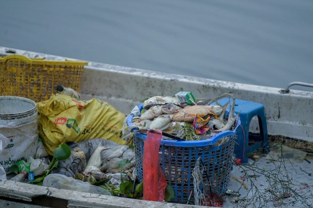 ca-chet-ho-tay (2).JPG