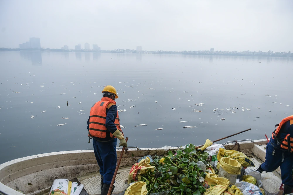 ca-chet-ho-tay (9).JPG