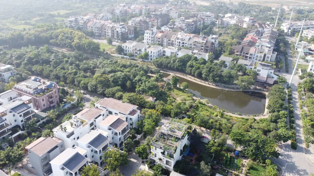 biệt thự Hà Nội trồng rau