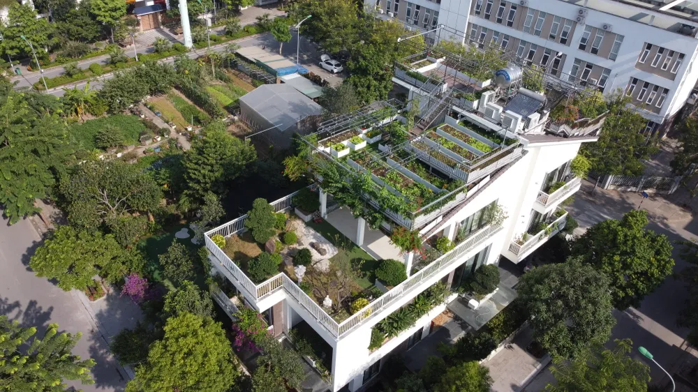 Vườn rau trên nóc biệt thự Hà Nội