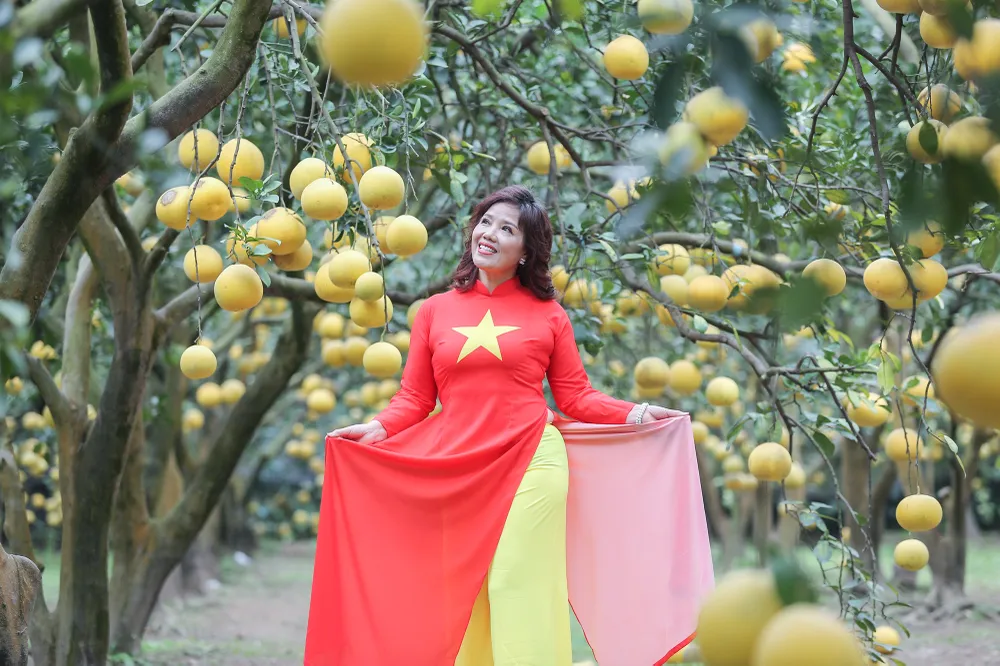 vuon-buoi-ha-noi (2).jpg