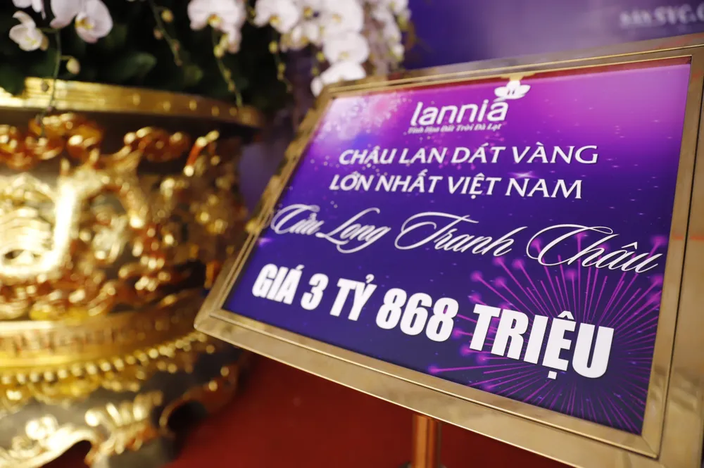 Hiện chậu hoa lan hồ điệp này được rao bán với giá hơn 3,86 tỉ đồng.