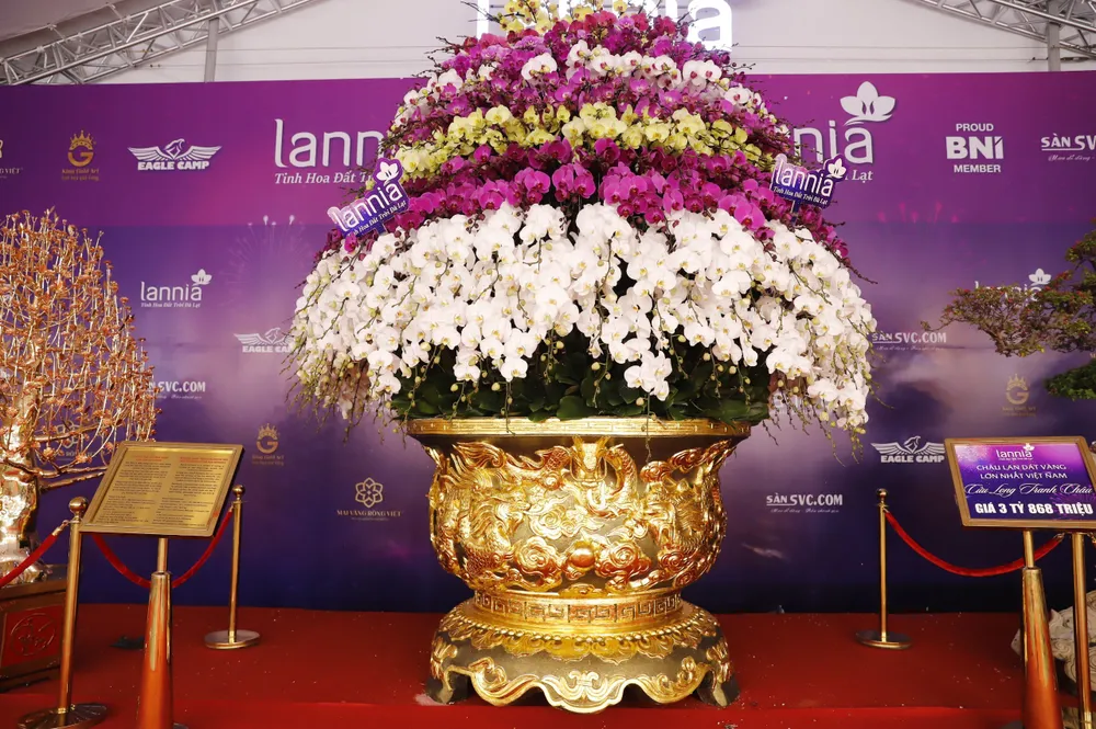 'Chậu hoa độc đáo này từ lúc lên ý tưởng cho đến lúc hoàn thành mất hơn 3 tháng. Cần 5 - 6 người thợ lành nghề thực hiện ghép được hoa vào chậu cân đối, đều, đẹp' - vị đại diện chia sẻ.