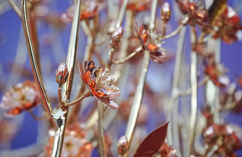 hoa-dao-dat-vang (2).JPG