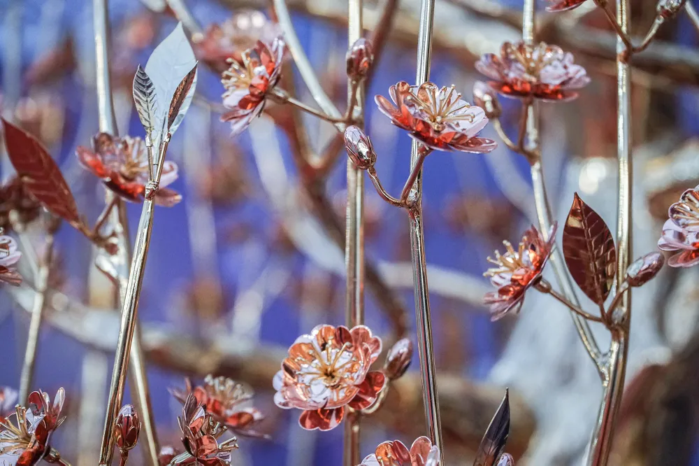 hoa-dao-dat-vang (6).JPG