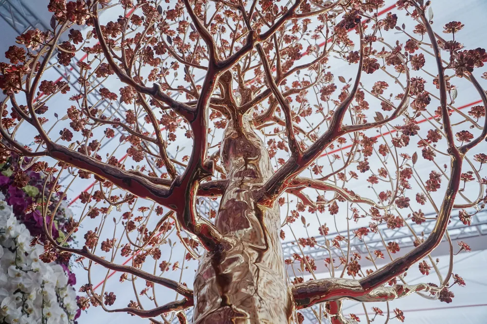 hoa-dao-dat-vang (8).JPG