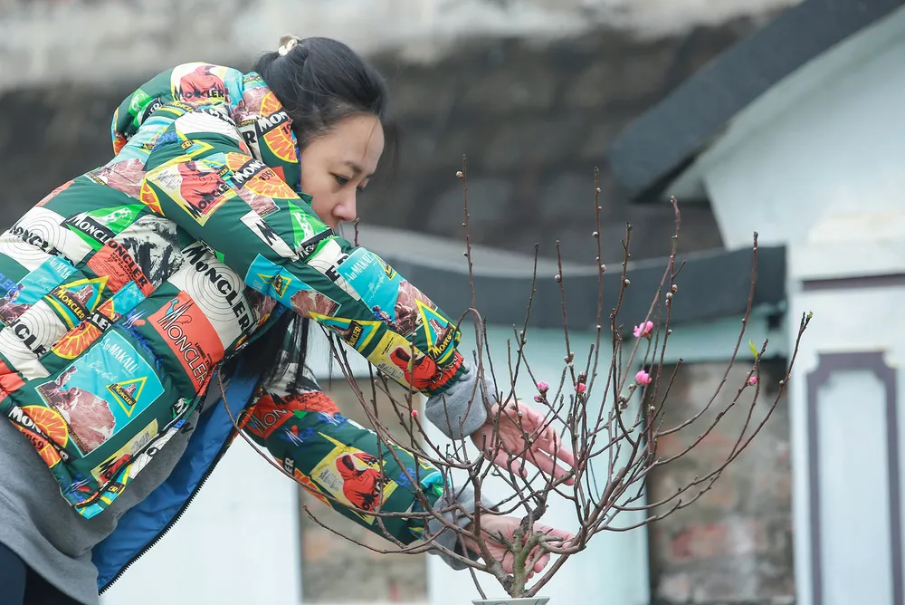 Người dân tấp nập tảo mộ lạc hồng viê3