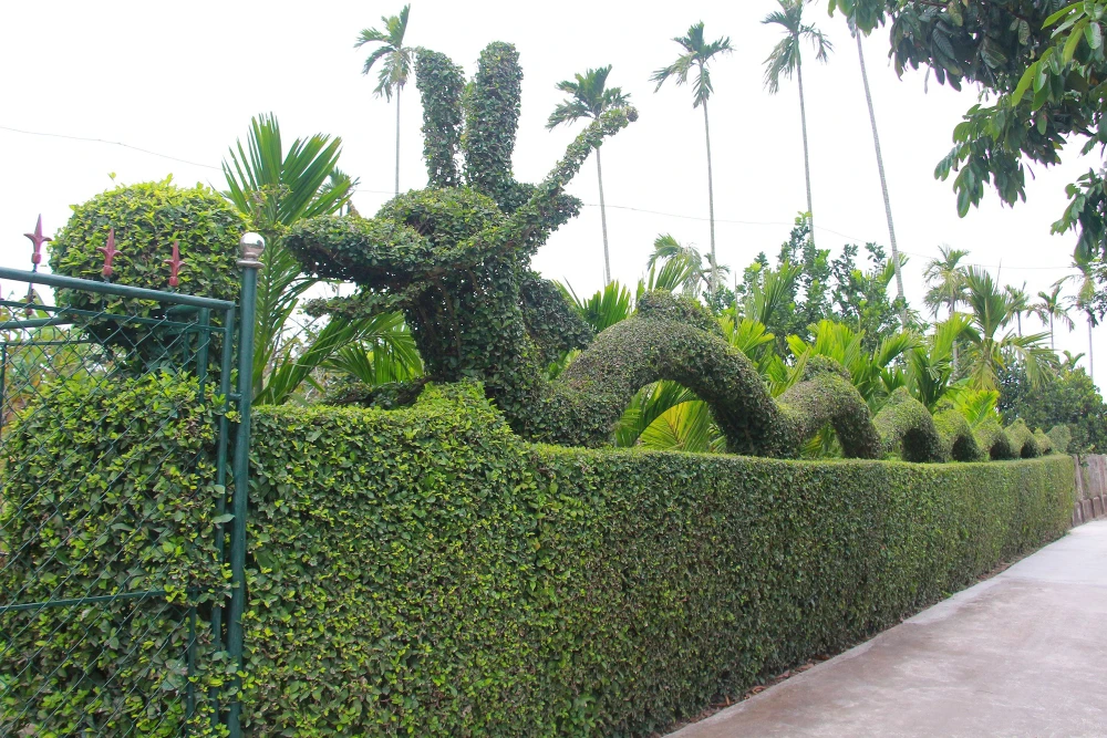 linh-vat-rong (10).jpg