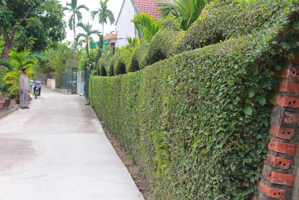 linh-vat-rong (3).jpg