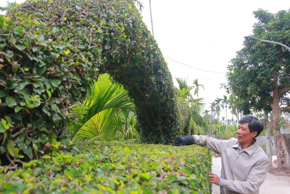 linh-vat-rong (4).jpg