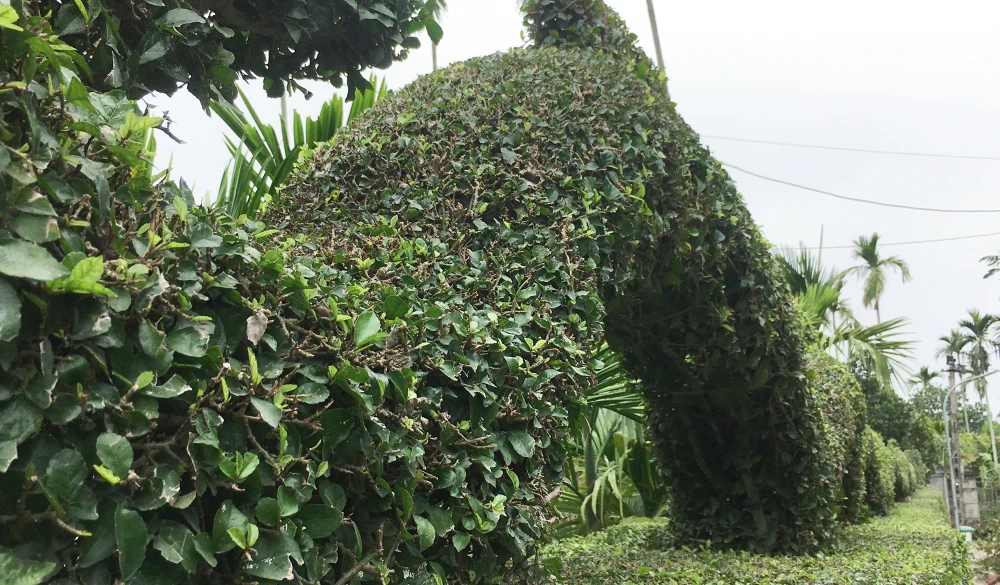 linh-vat-rong (7).jpg