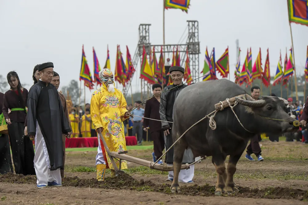 le-hoi-tich-dien (9).jpg