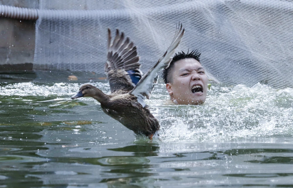 hoi-thi-bat-vit (5).jpg