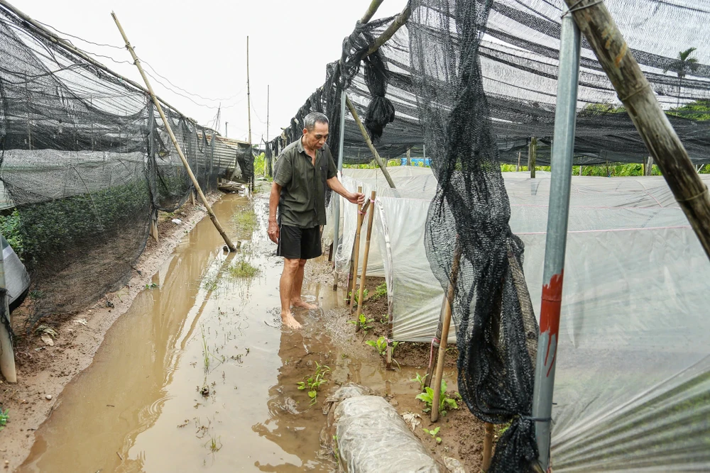 lang-hoa-tay-tuu (4).jpg