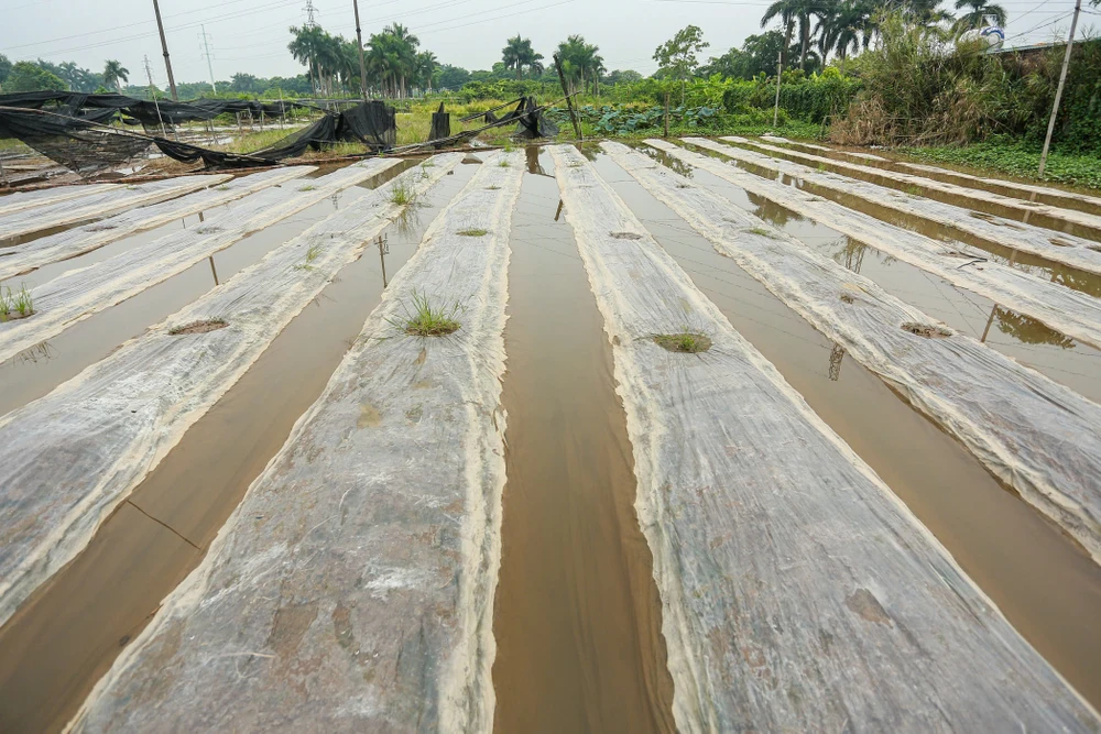 lang-hoa-tay-tuu (8).jpg