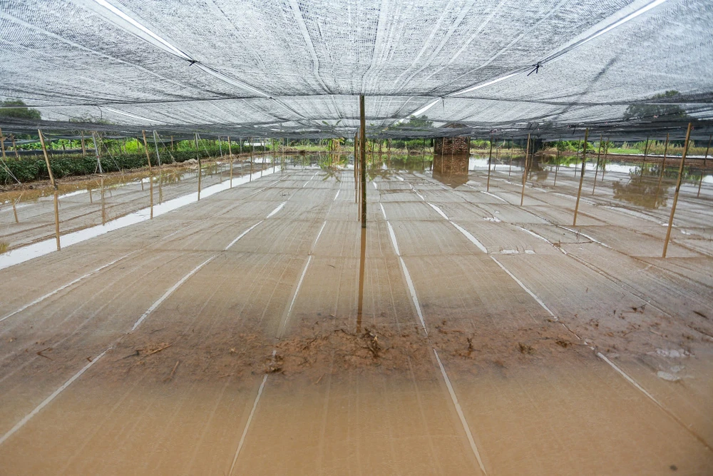 lang-hoa-tay-tuu (9).jpg