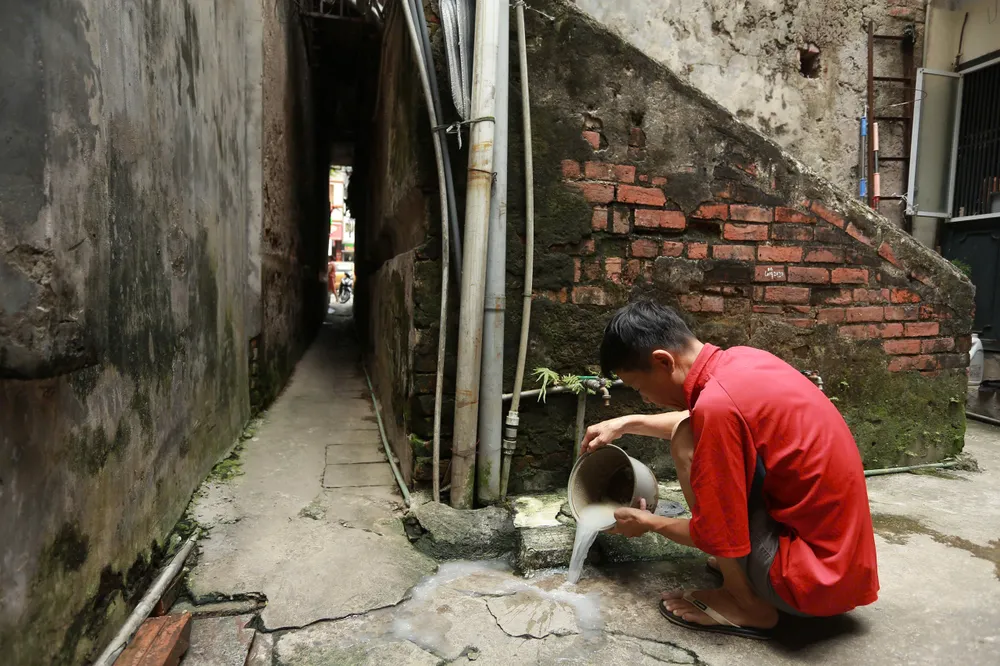 ngo-nho-ha-noi (1).jpg