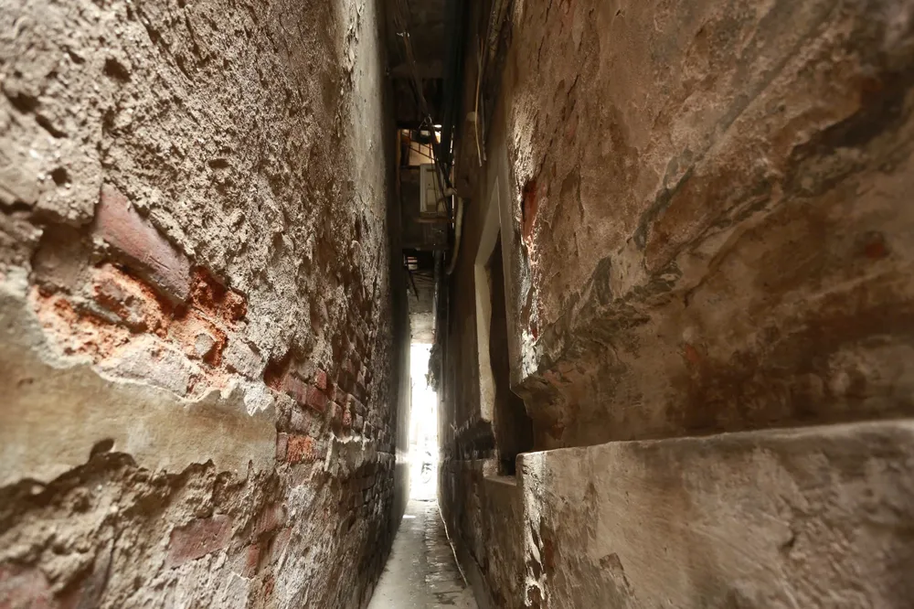 ngo-nho-ha-noi (3).jpg