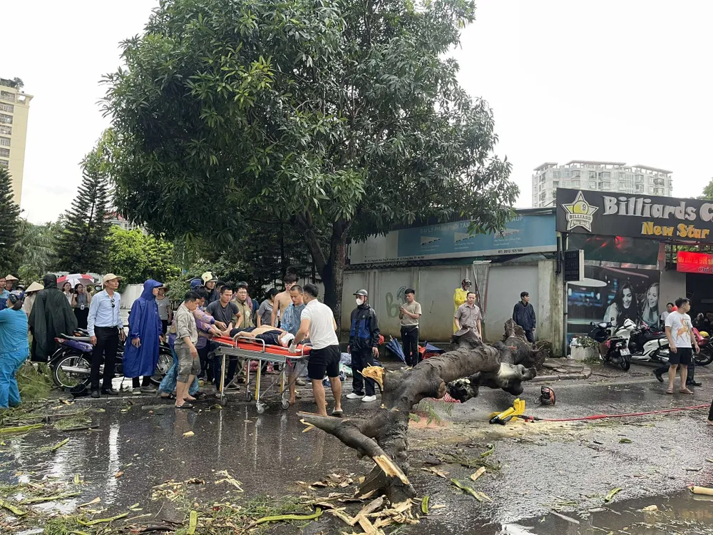 Hiện trường nơi xảy ra vụ cây xanh bật gốc đè trúng vào hai người đi xe máy. Cây ngã do cơn mưa lớn ở Hà Nội, 2 người thương vong