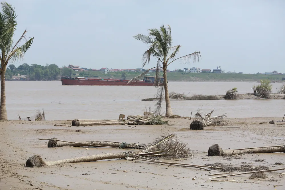 ven-song-hong (3).jpg