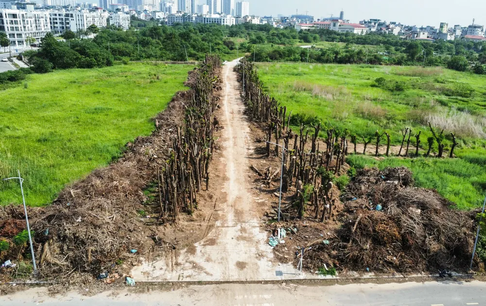 bai-tap-ket-go (1).jpg