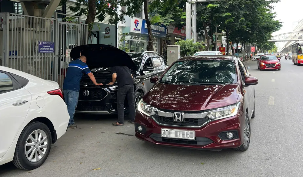 chiem-dung-long-duong (4).jpg