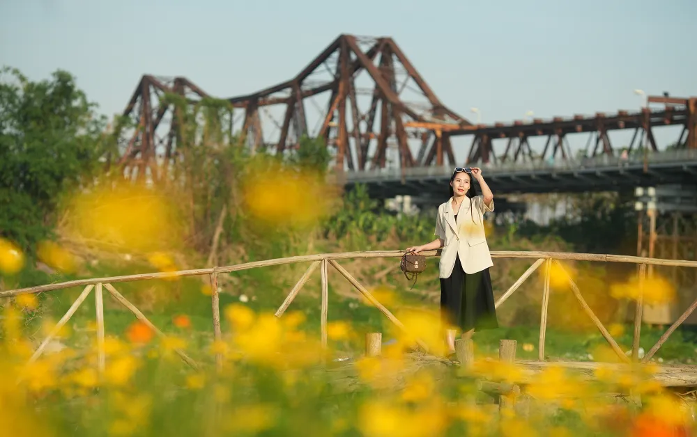 vuon-hoa-cuc (6).JPG