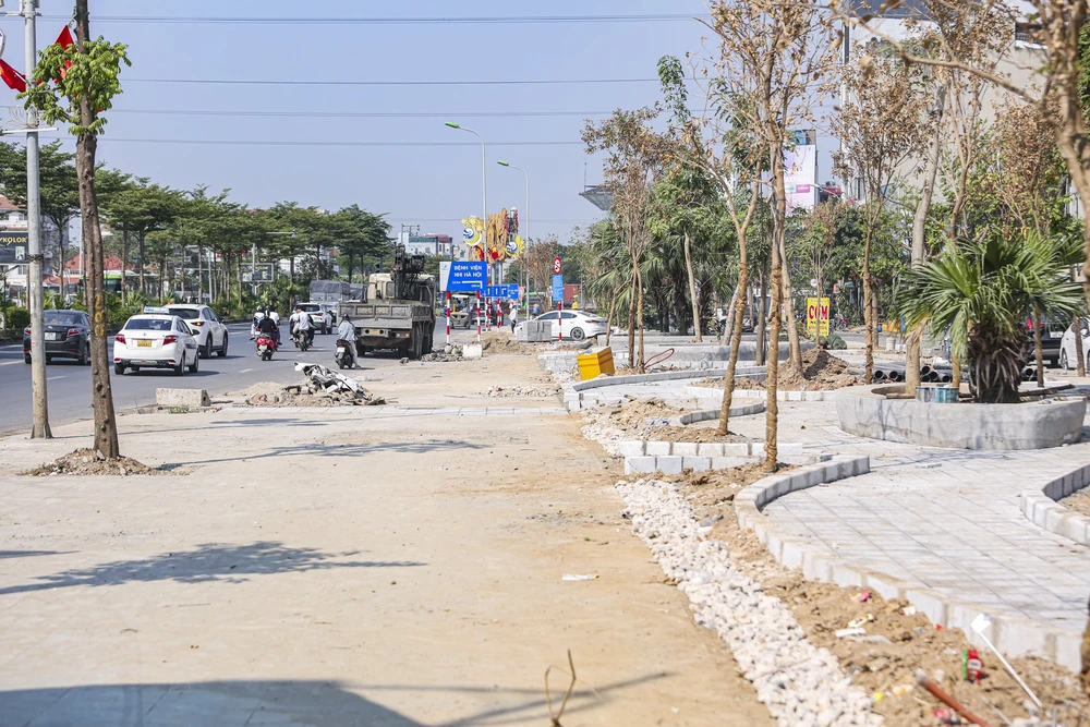 lat-da-via-he (21).jpg